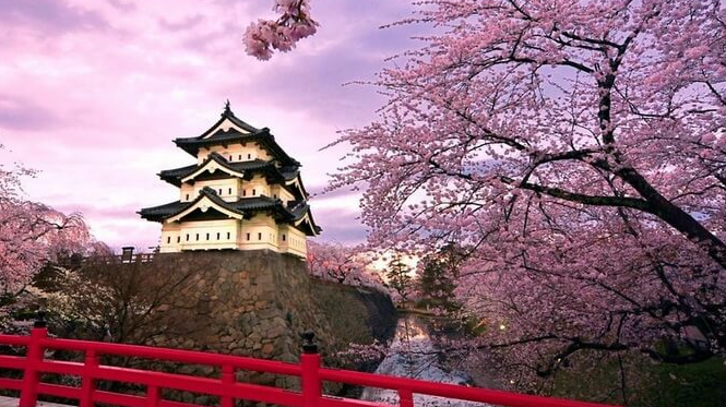 G.Kore & Japonya Turu ( Sakura Mevsimi )