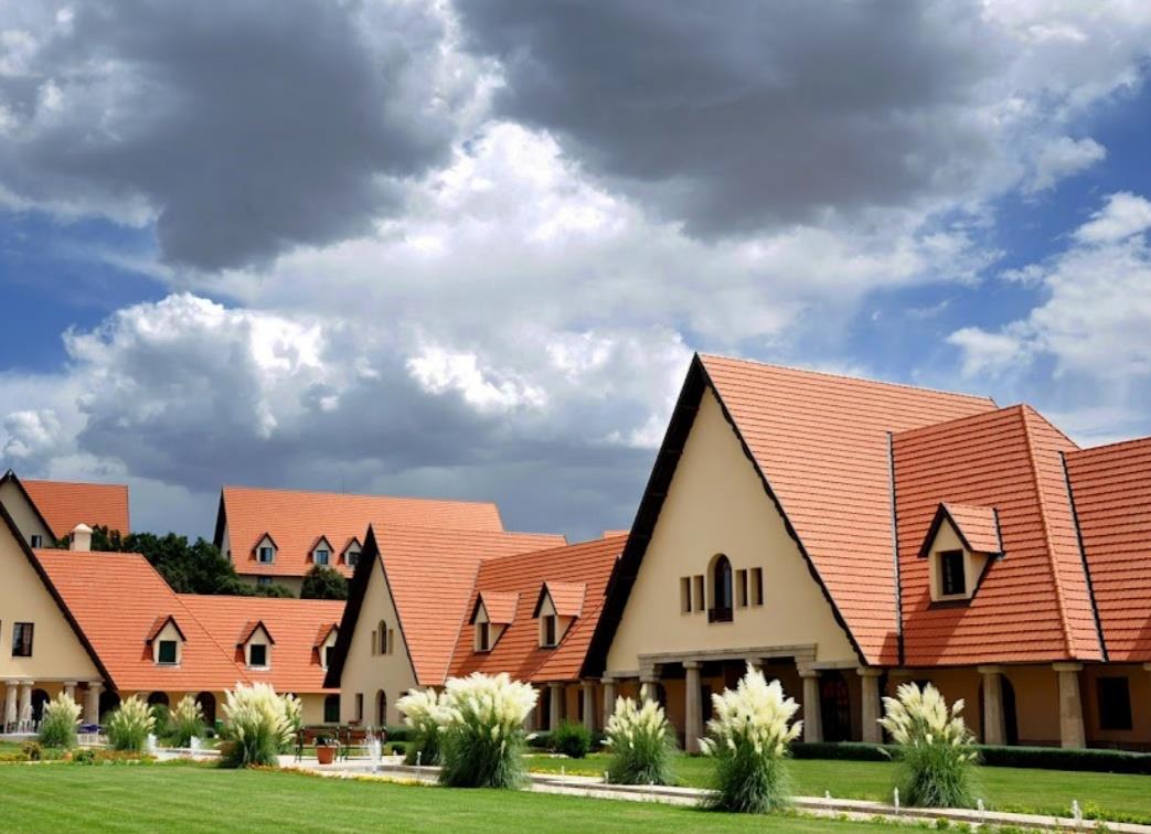  FAS TURU - ÇÖL RÜYASI