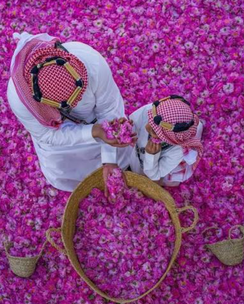 Arabistan'ın Gül Şehri – Taif Kültür Turu